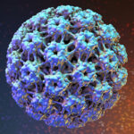 HPV (Genital Siğil) - Genital Sağlık
